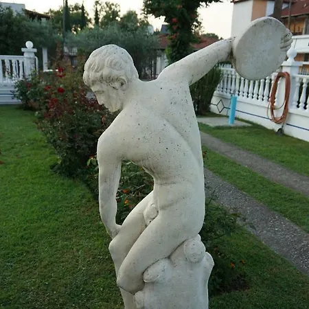 Panorama *