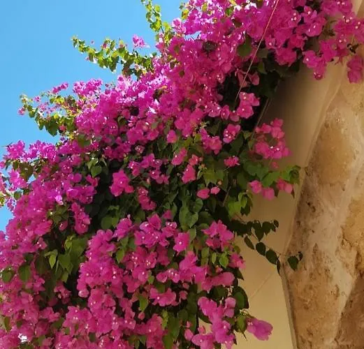 Panorama * Paralía Skotínis